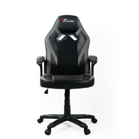 เก้าอี้เกมมิ่ง TTRacing Duo V3 หนัง PU สีเทา_2
